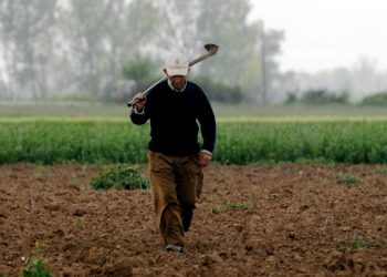 Συγκέντρωση δικαιολογητικών για αποζημιώσεις παραγωγών λόγω κορονοϊού