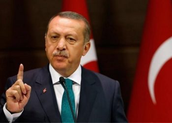 Μπορεί να ουρλιάζει για πόλεμο ο Βεζύρης Ερντογάν …Αλλά τα παιδιά του πήραν απαλλαγή Στράτευσης (Επερώτηση στη Βουλή)
