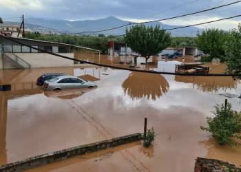 Συλλογή τροφίμων και ειδών πρώτης ανάγκης για τους πληγέντες του Ν. Καρδίτσας