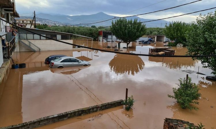 Συλλογή τροφίμων και ειδών πρώτης ανάγκης για τους πληγέντες του Ν. Καρδίτσας