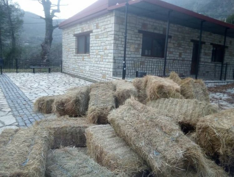 Ξεφόρτωσε το τριφύλλι στην πλατεία…. αφού ο Δήμος δεν άνοιξε τον δρόμο
