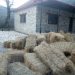 Ξεφόρτωσε το τριφύλλι στην πλατεία…. αφού ο Δήμος δεν άνοιξε τον δρόμο