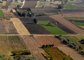 Ανακοίνωση – Περίληψη Διακήρυξης Δημοπρασίας Καλλιεργήσιμης Έκτασης