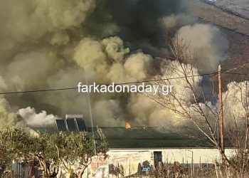 Οι πρώτες εικόνες από τη φωτιά στο εργοστάσιο Υφαντής στο Γριζάνο