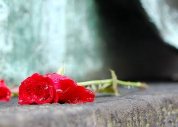 Σοκ από το θάνατο του 46χρονου υπαλλήλου της Νομαρχίας Τρικάλων