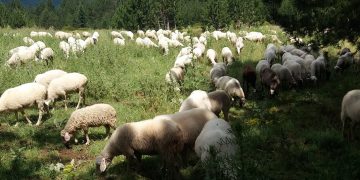 Από 12 έως 25 Ιανουαρίου ενστάσεις για την εξισωτική
