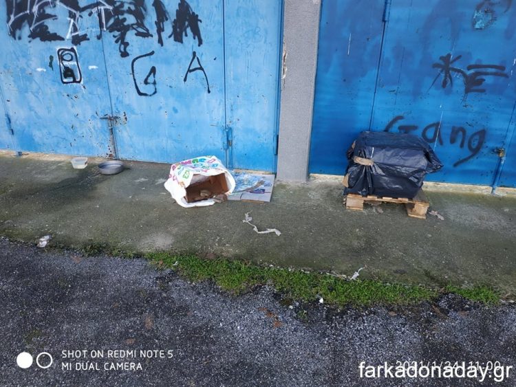 Ασυνείδητοι εγκατέλειψαν σκυλάκια στο στάδιο της Φαρκαδόνας