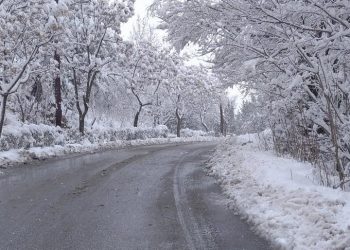 Δημόσιες ευχαριστίες της δημοτικής αρχής Φαρκαδόνας στο προσωπικό