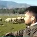 Νεαρός Λαρισαίος τσοπάνης βόσκει τα πρόβατα με πρωτοποριακό τρόπο και η εικόνα του ταξιδεύει σε όλη την Ελλάδα (βίντεο)
