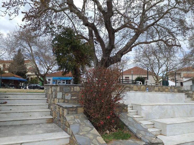 Δύο εβδομάδες μετά το σεισμό… δεν έχει αρχίσει η επίλυση των προβλημάτων στο Ζάρκο