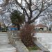 Δύο εβδομάδες μετά το σεισμό… δεν έχει αρχίσει η επίλυση των προβλημάτων στο Ζάρκο