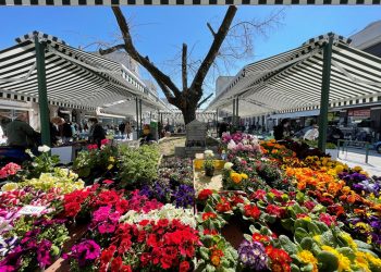 Νέα εποχή, νέα, σύγχρονη λαϊκή αγορά στα Τρίκαλα