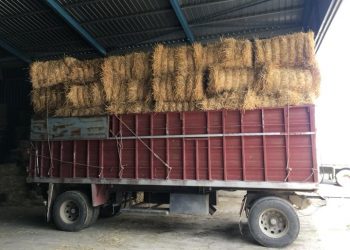 Γυναίκα καταπλακώθηκε από μπάλες άχυρου στο Μεσοχώρι Ελασσόνας