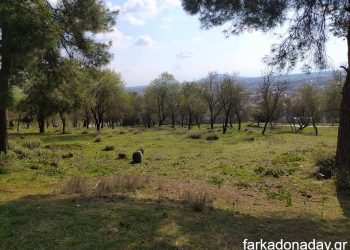 Αξίζουν ένα μεγάλο μπράβο!!!