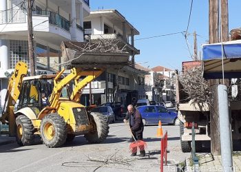 «Φωτιά» πήραν τα κλαδευτήρια κατόπιν εντολής του Αντιδημάρχου Βαγγέλη Κοσμά