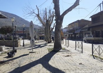 «Φωτιά» πήραν τα κλαδευτήρια κατόπιν εντολής του Αντιδημάρχου Βαγγέλη Κοσμά