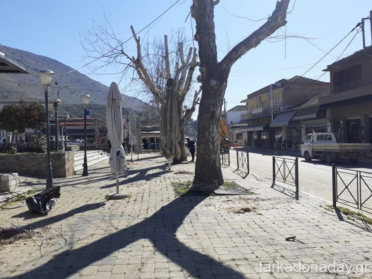 «Φωτιά» πήραν τα κλαδευτήρια κατόπιν εντολής του Αντιδημάρχου Βαγγέλη Κοσμά