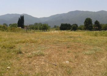 Επαναληπτική Δημοπρασία Καλλιεργήσιμης Έκτασης