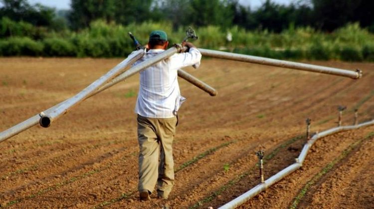 Απαλλάσσονται οι  αγρότες από το τέλος επιτηδεύματος και φέτος