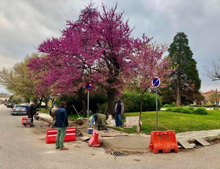 Αναμορφώσεις σε πλατείες των Τρικάλων