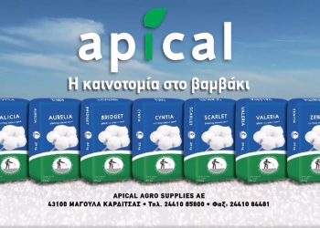 Ποικιλίες βαμβακιού APICAL – Η καινοτομία στο βαμβάκι