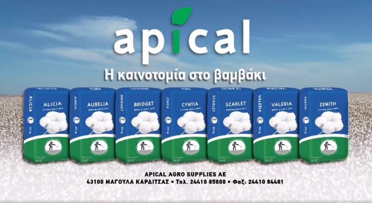 Ποικιλίες βαμβακιού APICAL – Η καινοτομία στο βαμβάκι