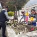 Με πολύχρωμα λουλούδια θα υποδεχτεί η Φαρκαδόνα τους επισκέπτες της το Πάσχα
