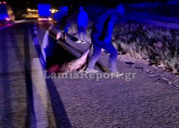 Κοπάδι από αγριογούρουνα προκάλεσε τροχαίο – ΒΙΝΤΕΟ-ΦΩΤΟ