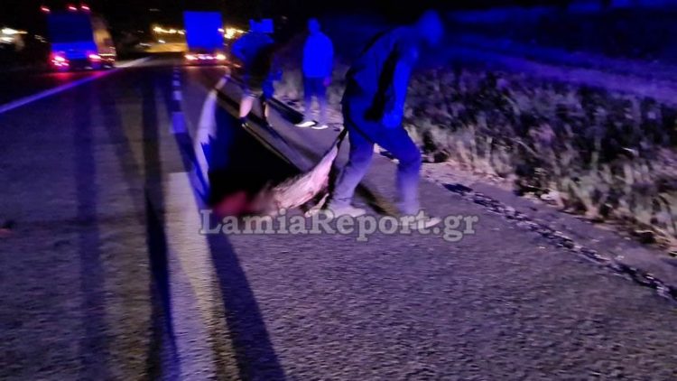Κοπάδι από αγριογούρουνα προκάλεσε τροχαίο – ΒΙΝΤΕΟ-ΦΩΤΟ