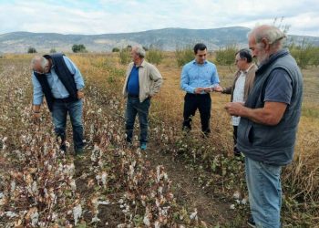 Κώστας Σκρέκας: Δεύτερη ευκαιρία σε 180.000 αγρότες για μειωμένη χρέωση ΕΤΜΕΑΡ στους λογαριασμούς ρεύματος