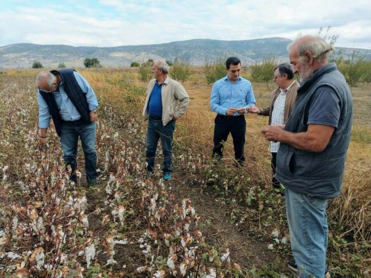 Κώστας Σκρέκας: Δεύτερη ευκαιρία σε 180.000 αγρότες για μειωμένη χρέωση ΕΤΜΕΑΡ στους λογαριασμούς ρεύματος