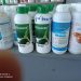 Agromarket Τρικάλων Αφοι ΝΙΚΟΛΟΥ: Οι ειδικοί στην Θρέψη!!