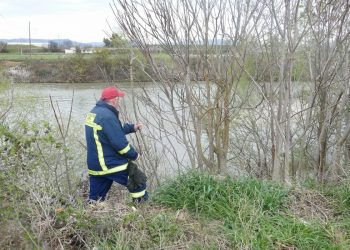 Στον Πηνειό ψάχνουν την συνταξιούχο δασκάλα που αγνοείται  – Μεγάλη κινητοποίηση!!