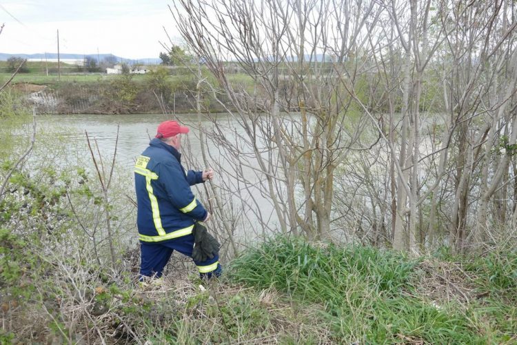 Στον Πηνειό ψάχνουν την συνταξιούχο δασκάλα που αγνοείται  – Μεγάλη κινητοποίηση!!