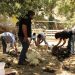 Κούρευαν τα πρόβατα και το γιόρταζαν… με μπαλωθιές