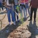 Με επιτυχία πραγματοποιήθηκε η δενδροφύτευση  στο Κέντρο Υγείας Φαρκαδόνας