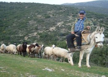 Ψάχνουν βοσκούς με το κιάλι στα  χωριά του δήμου Φαρκαδόνας