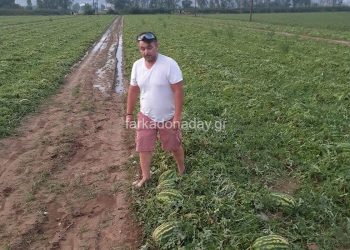 Κραυγή αγωνίας από τους παραγωγούς πεπονιού στην Νομή – Ολική καταστροφή από το χαλάζι (ΒΙΝΤΕΟ)