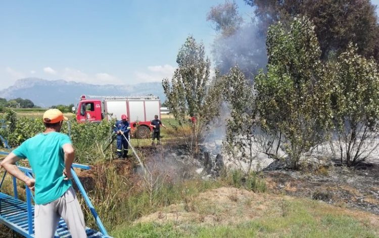 Κατασβέσθηκε φωτιά στον επαρχιακό δρόμο Μουριάς – Λαζαρίνας