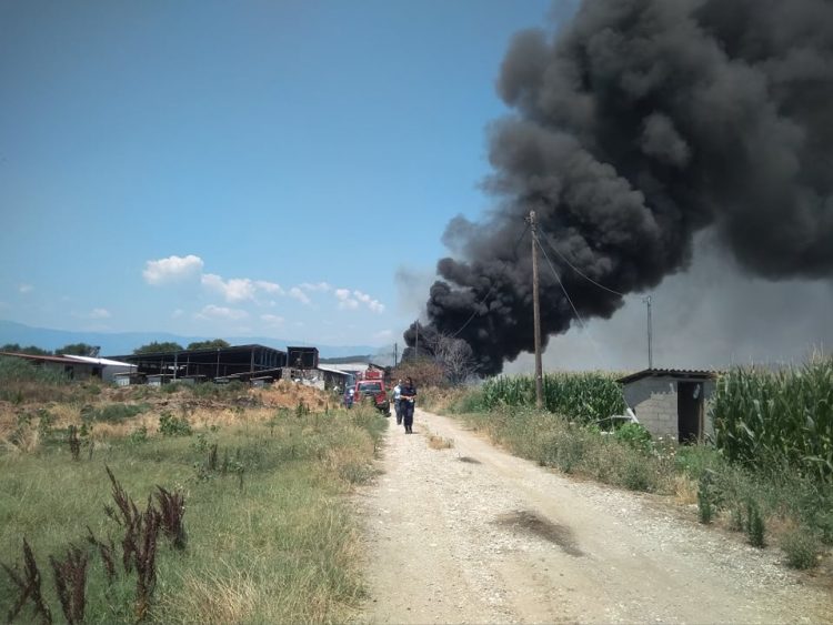 Μεγάλη φωτιά αυτή την ώρα στην περιοχή της Μπαλκούρας – Καίγεται κτηνοτροφική μονάδα