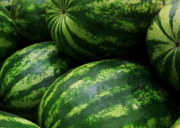 Το Agromarket Τρικάλων Αφοι Νικολού  ενισχύει το Κοινωνικό Παντοπωλείο του Δήμου Τρικκαίων