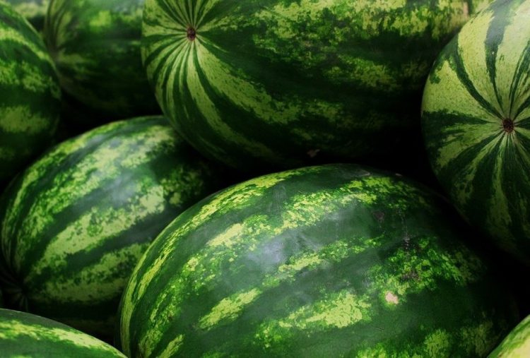Το Agromarket Τρικάλων Αφοι Νικολού  ενισχύει το Κοινωνικό Παντοπωλείο του Δήμου Τρικκαίων
