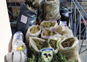 Επιχείρηση της αστυνομίας στα Τρίκαλα έβγαλε μεγάλο «λαβράκι»!