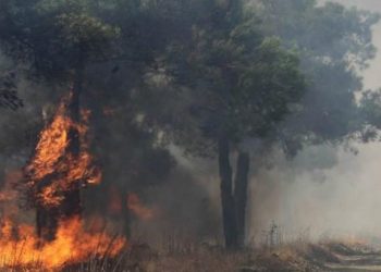 Απαγόρευση εισόδου σε δάση και εκτέλεσης επικίνδυνων για φωτιά εργασιών έως τις 9 Αυγούστου