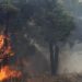 Απαγόρευση εισόδου σε δάση και εκτέλεσης επικίνδυνων για φωτιά εργασιών έως τις 9 Αυγούστου