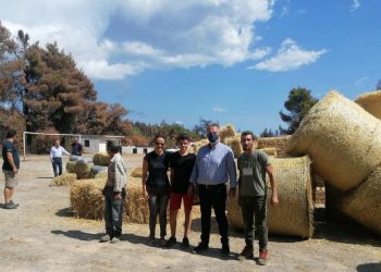 Χρήστος Μιχαλάκης: «Η αλληλεγγύη νικά την καταστροφή»