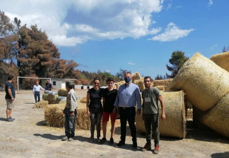 Χρήστος Μιχαλάκης: «Η αλληλεγγύη νικά την καταστροφή»