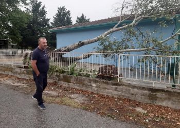 Δέντρο έπεσε στη στέγη του σχολείου στο Πετρωτό