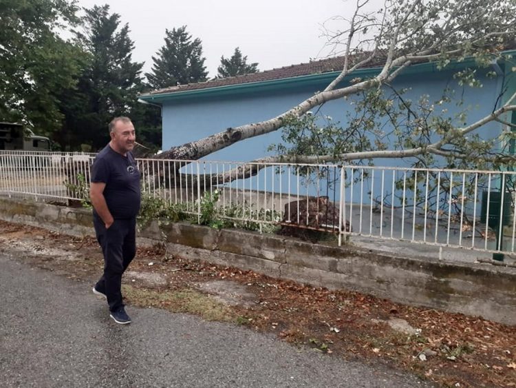 Δέντρο έπεσε στη στέγη του σχολείου στο Πετρωτό