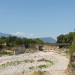 «Τα στερνά τιμούν τα πρώτα»…